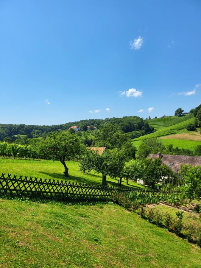 Ferienhaus Zangl Am Seggauberg - Suedsteiermark Leibnitz Exterior photo